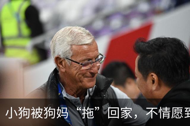 小狗被狗妈“拖”回家，不情愿到连爪子都在控诉：我还要玩！